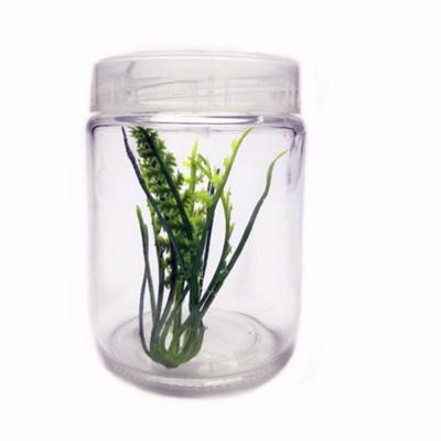 China Personal Care 240ml Plant Tissue Culture Glass Jar With Plastic Lid for sale