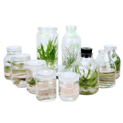 China Agriculture tissue culture for 50ml glass bottles for sale