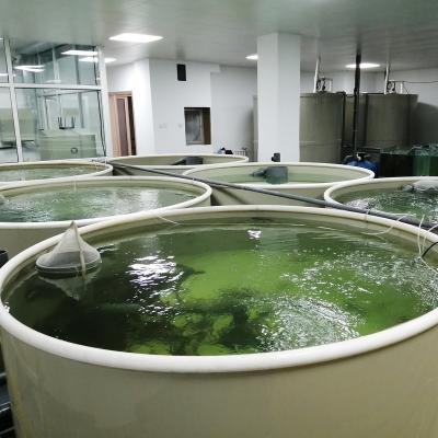 China Qlozone Fish Farming RAS System Indoor Aquaculture Recycling for sale