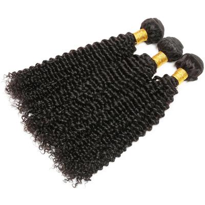 China Free Sample Mink Brazilian Virgin Human Hair Curly Bundles 100%, Brazilian Virgin Hair Curly Wholesale Seller, Raw Virgin Cuticle Aligned Hair for sale