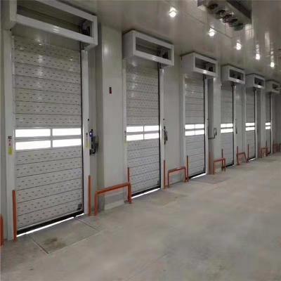 China TM-D04 Aluminum Alloy Rapid Roll up Fast Roller Shutter Spiral Security Warehouse Door for sale