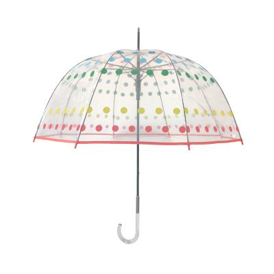 China Custom Birdcage Material POE Clear Bubble Umbrella Tropical Straight Plastic Logo Print Patter EVA Handle Dome Transparent Signature for sale