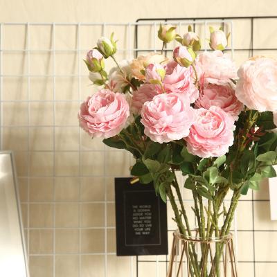 China Wholesale Beautiful Grain 9 Colors Colorful European Rose Flower Peony Home Decoration Wedding Artificial From Shandong China for sale