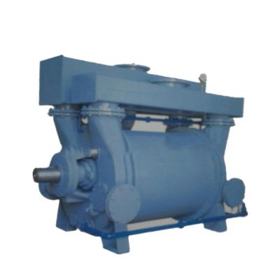 China Cbf500-2 Water Solutions High Pumping Speed ​​Vacuum Pump Low Pressure Water Pump High Quality Cbf500-2 for sale