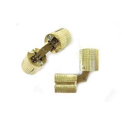 China Modern High Quality Invisible Round Brass Barrel Hinge 10-26mm cross hinge concealed Hidden Hinge for sale