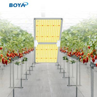 China Seed starting Boya 200w 240w full spectrum lm301h board cob cxb3590 chip UFO 3x3 4x4 5x5 6x6 DIY tent led grow light kit for sale