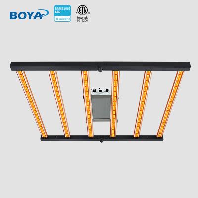 China Dimming Control Boya IP67 Economical Power Plant Lamp Pot Glass Tomato Cheap Clone LED Grow Light On Sale for sale