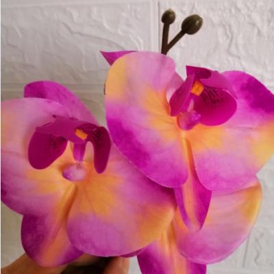 China 2021 FILE Price Hot Selling Artificial Real Touch Mini Plants Stem 3 Heads Single Orchid For Garden&home for sale