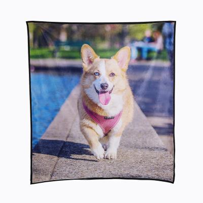 China Modern Custom Made High Quality Picnic Blankets Outdoor Portable Mobile Waterproof Printed Picnic Blanket for sale