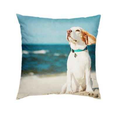 China 2020 New Product Non-Toxic Pillows Home Decor Sublimation Sofa Pillow Polyester Cushion Cover for sale