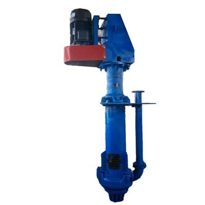 China Developing World Water Solutions Centrifugal Vertical Sump Solids Waste Deslime Ash Slurry Pump for sale