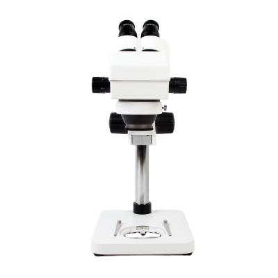 China Cheapest Fixed Stereo Microscope 40X Microscope For Mobile Phone Repair School for sale