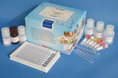 China Plasmid DNA Kanamycin Fine Test Elisa Kit High Repetitive 90% Accuracy for sale