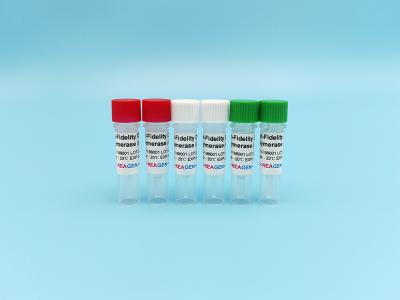 China PCR High-Fidelity DNA Polymerase for sale