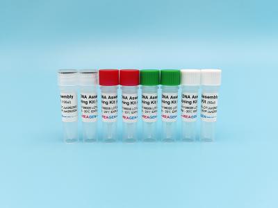 China HiFi DNA Assembly Cloning Kit for sale