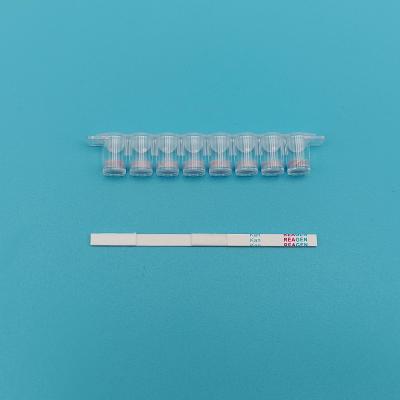 China Plastic kanamycine strip test kit hooggevoelig wit met onmiddellijke resultaten Te koop