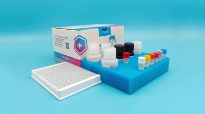 China Rapid Nitrofurantoin (AHD) ELISA Test Kit High Recovery Low Detection Limit for sale