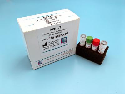 Chine Kit de détection par PCR par fluorescence en temps réel pour les produits de diagnostic in vitro à vendre