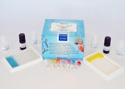 China High Reproducibility Drug Residue Test Kit Chloramphenicol (CAP) ELISA Test Kit for sale