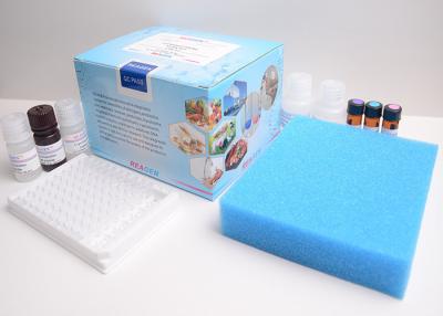 China Research Use Vitamin Test Kit / Rapid Vitamin B12 ELISA Test Kit for sale