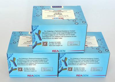 China Metronidazole ELISA Test Kit High Recovery (70% - 95%) Used For Serum / Milk for sale