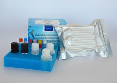 China Penicilline G ELISA Test Kit, veilig voedsel, Test kit, Rapid assay protocol Te koop