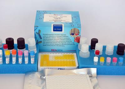 China Zearalenone Toxin ELISA Test Kit Competitive Colorimetric High Cross Reactivity for sale