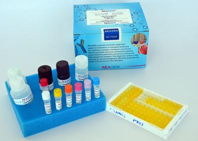 China Low Detection Limit Estrogen ELISA Kit , Beta-Agonist ELISA Test Kit for sale