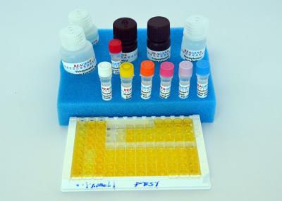 Cina Kit ELISA per estrogeni con elevato tasso di recupero / Kit di test ELISA per diazepam in vendita