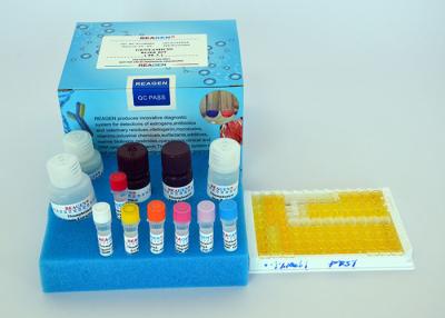 Cina Testosterone con forte specificità kit ELISA con tempo di analisi di 2 ore in vendita