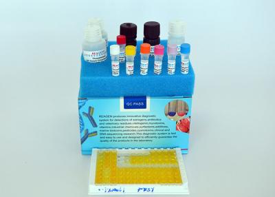 Cina Kit di prova di dietilstilbestrolo ELISA Kit di prova di estrogeni ELISA utilizzato per campioni di gamberetti in vendita