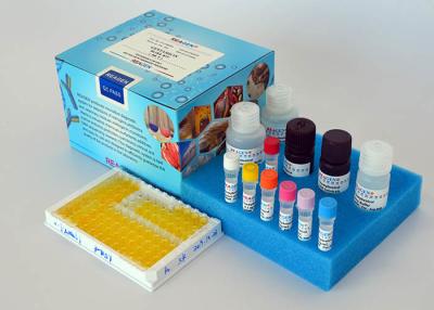 Cina Metiltestosterone kit di test ELISA Immunoassay di enzimi competitivi di rapido rilevamento in vendita