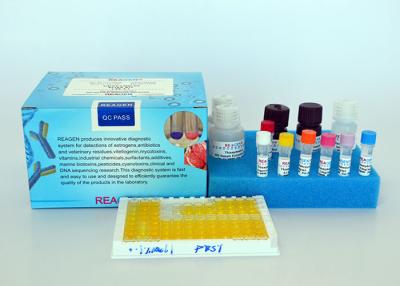 Cina Kit ELISA estrogeno accurato Kit di test ELISA trenbolone per campione di gamberi di carne di pesce in vendita