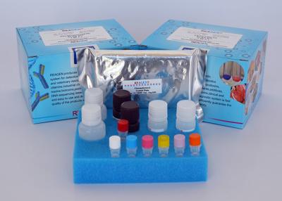 China Rapid Detection Apramycin ELISA Test Kit Competitive Enzyme Immunoassay for sale