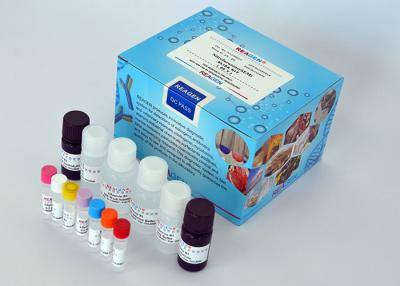 China Spectinomycin ELISA Test Kit Quantitative Analysis For Meat / Liver / Kidney And Milk for sale