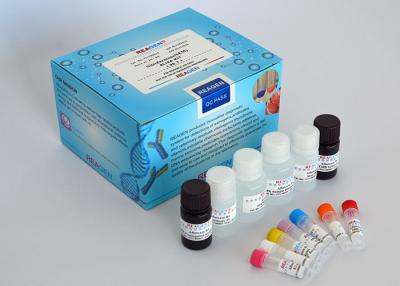 China Flumequine ELISA Antibiotic Test Kit For Food Safety Detect  Certificated for sale