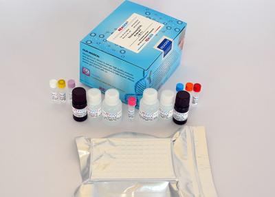 Cina Kit di prova ELISA del tiamfenicolo Rapido ELISA Assay Alta sensibilità (0,1 Ng/G O ppb) in vendita