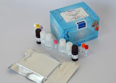 China Rapid Amantadine ELISA Test Kit / Quantitative Analyse Eier Test Kit zu verkaufen