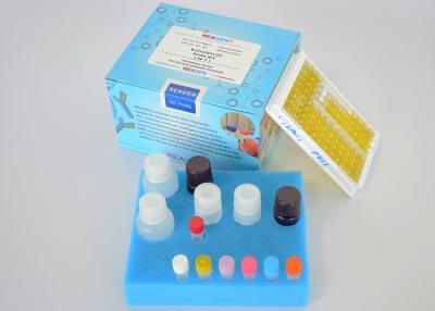 China Food Safety Detection Ofloxacin ELISA Test Kit With High Recovery Rate for sale