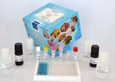 China Deoxynivalenol (DON) Column Kit Mycotoxin ELISA Kit For Food and Feed Analysis for sale