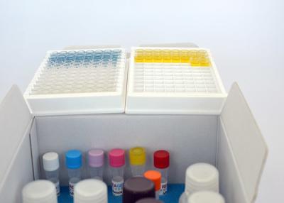 China Effective Dibutyl Phthalate (DBP) ELISA Test Kit High Sensitivity (0.05 Ppb) for sale