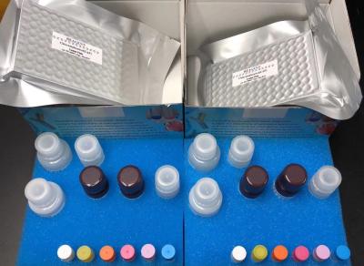 China Professional ELISA Test Kit / ELISA instruments Manufacturing Technical Export for sale