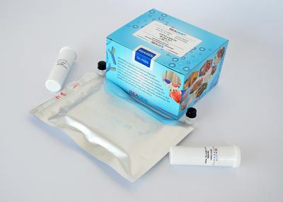 China Cow Milk Testing Lateral Flow Test Kit BT Combo Strip Test Strong Sensitivity for sale