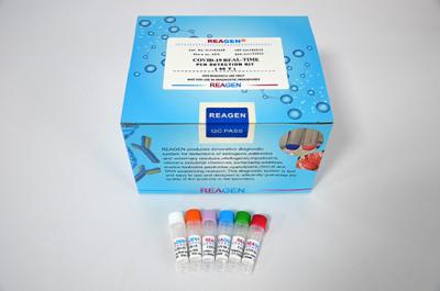 Chine Kit de détection par PCR par fluorescence IVD ANVISA lyophilisé 40T/boîte à vendre