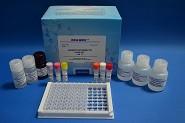 China 0.5ppb Rapid Tetracycline ELISA Test Kit voor vis / garnalen Te koop