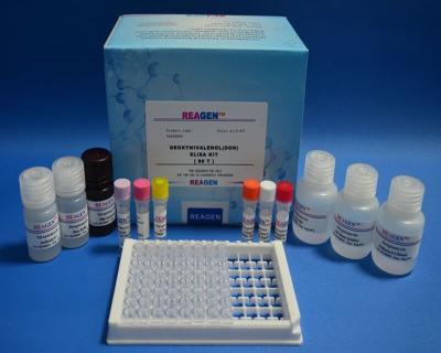 Cina kanamicina ELISA Kit Testing Drugs High Accuracy di sensibilità di 0.2ng/G Ppb in vendita