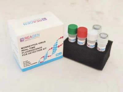 China High Sensitivity Monkeypox PCR Test Kit Fluorescentie Real Time PCR Detectie Kit Te koop