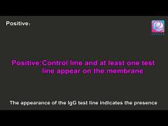 REAGEN COVID-19 Antibodies test-blood sample demo