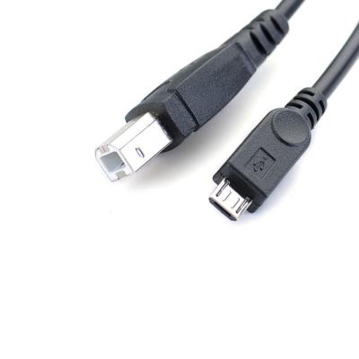 China Micro USB Male to USB 2.0 Printer Male Micro USB 2.0 Male Printer Head Male USB 2.0 B Printer Scanner Cable Black 0.3m to Male B Barcode Printer Cable for sale