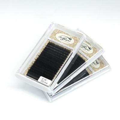 China Wholesale Full Volume Lash Extension All Size Eyelash Extension Eyelash Available Vendor Customized Boxes for sale